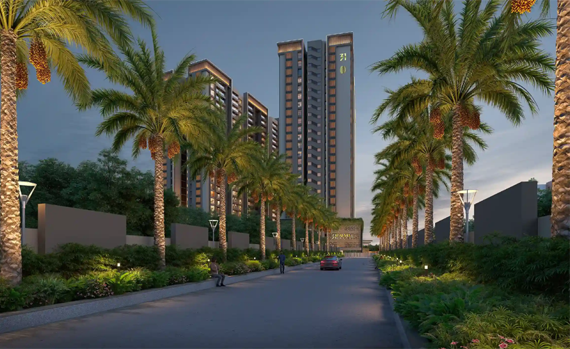 31palma-Bhandari